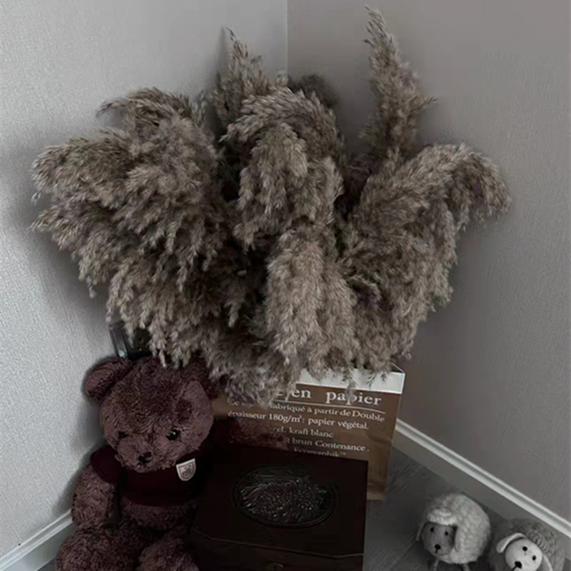 Rėdų džiovintų gėlių puokštė - Madingos tikros gėlės svetainei - Natūralus grindų vidaus dekoras - Medžiaga: Soft PVC; Prekė: Kita; Amatas: Kita; Įvairovė: Kita