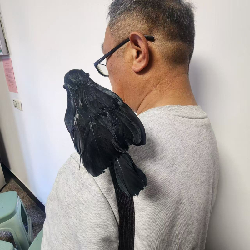 Гарван лента за глава – реквизит за Хелоуин, пера, полу ръчна и полу механична изработка, реквизит за грим и костюм