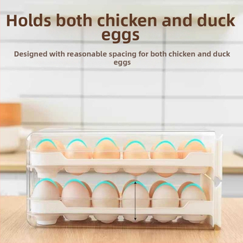 Olu laikymo dėžutė šaldytuvui su stalčiumi, maisto kokybės, žąsų kiaušinių organizatorius, sidabrinė, japoniško stiliaus