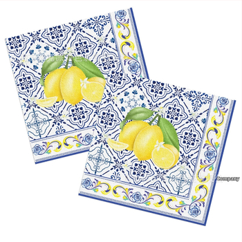 Σετ εξοπλισμού πάρτι μίας χρήσης με ρετρό μπλε-λευκό πορσελάνινο λεμόνι – υλικά: πλαστικό και χαρτί, απλός στυλ, σετ πάρτι και διακόσμηση χώρου