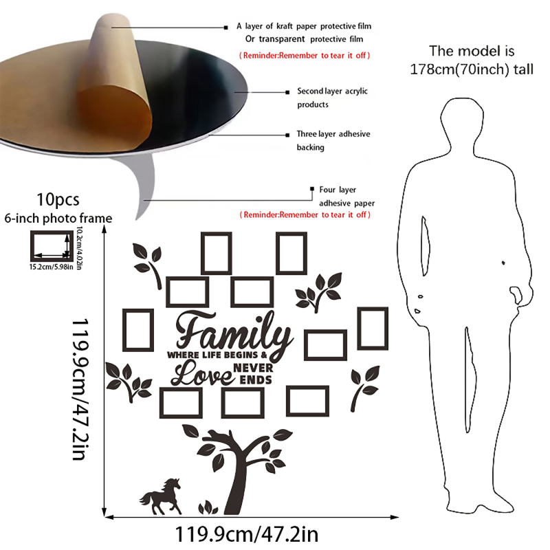 Σετ ακρυλικού καθρέφτη για τον τοίχο με αυτοκόλλητη βάση και αποσπώμενη κορνίζα φωτογραφίας με θέμα πόνι — μοντέρνος διακοσμητικός σχεδιασμός