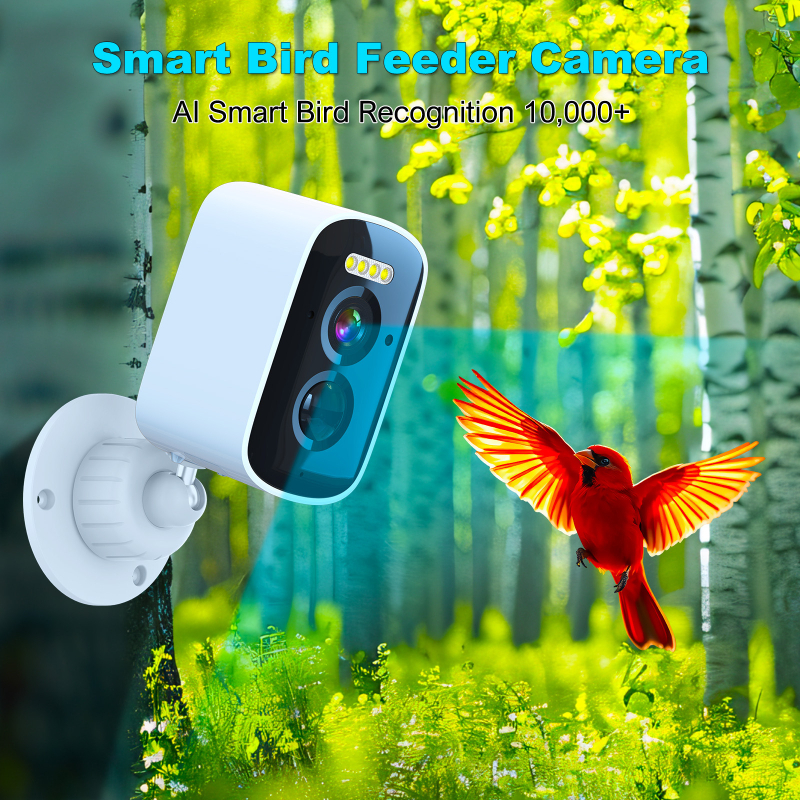 Интелигентна кормилка за птици с камера и ИИ разпознаване на птици – 5MP, 2560x1440, 3.6mm CMOS, външна употреба