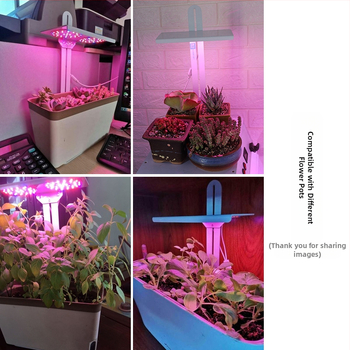 Умна машина за вътрешно засаждане на зеленчуци с светлина за растеж (маруля, босилек, билки) - Внос: Да, Марка: Друг, Модел: Друг, Продуктов номер: 619135667773, Сертификация: Друг