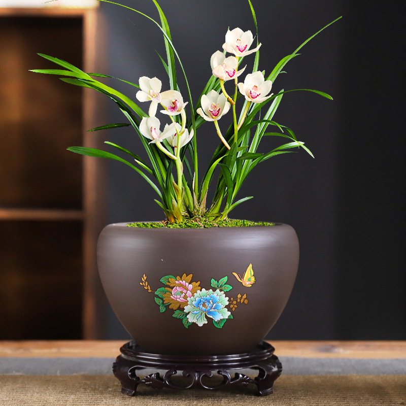 Ghiveci ceramic – respirabil, rezistent la deformare, rezistent la coroziune, durabil pentru birou (orhidee și pothos)