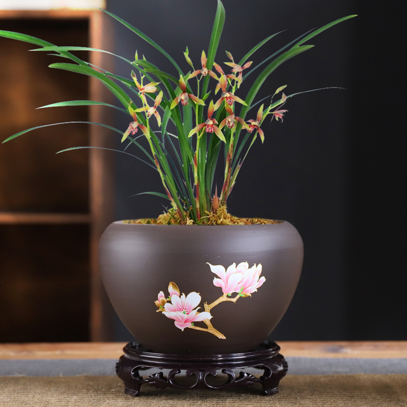 Ghiveci ceramic – respirabil, rezistent la deformare, rezistent la coroziune, durabil pentru birou (orhidee și pothos)