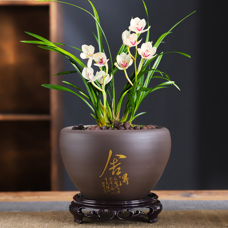 Ghiveci ceramic – respirabil, rezistent la deformare, rezistent la coroziune, durabil pentru birou (orhidee și pothos)