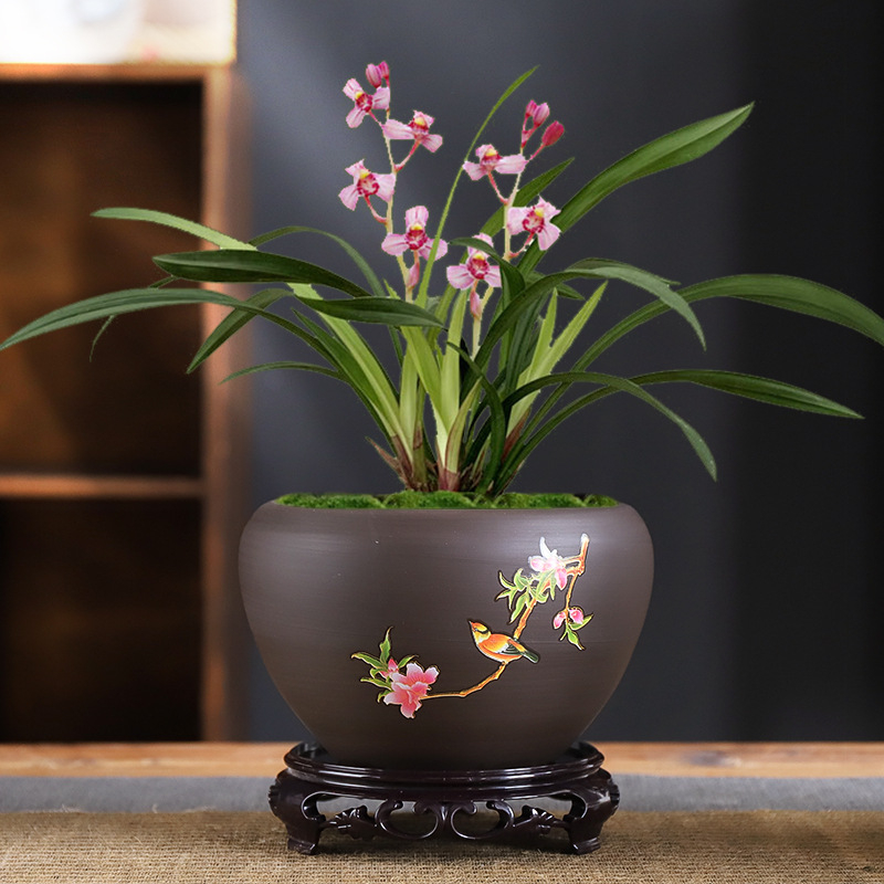 Ghiveci ceramic – respirabil, rezistent la deformare, rezistent la coroziune, durabil pentru birou (orhidee și pothos)