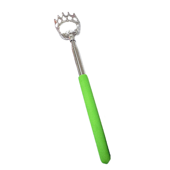 Ištemptas nerūdijančio plieno nugaros šepetėlis su meškos letenos dizainu