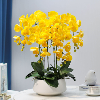 Dirbtinė Phalaenopsis orchidėja – šilko gėlė, Prekės ženklas Bear Zhizhe, veislė Phalaenopsis, Amatai: Kita