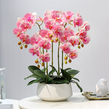 Dirbtinė Phalaenopsis orchidėja – šilko gėlė, Prekės ženklas Bear Zhizhe, veislė Phalaenopsis, Amatai: Kita