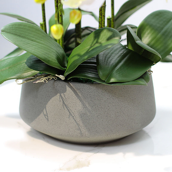 Dirbtinė Phalaenopsis orchidėja – šilko gėlė, Prekės ženklas Bear Zhizhe, veislė Phalaenopsis, Amatai: Kita