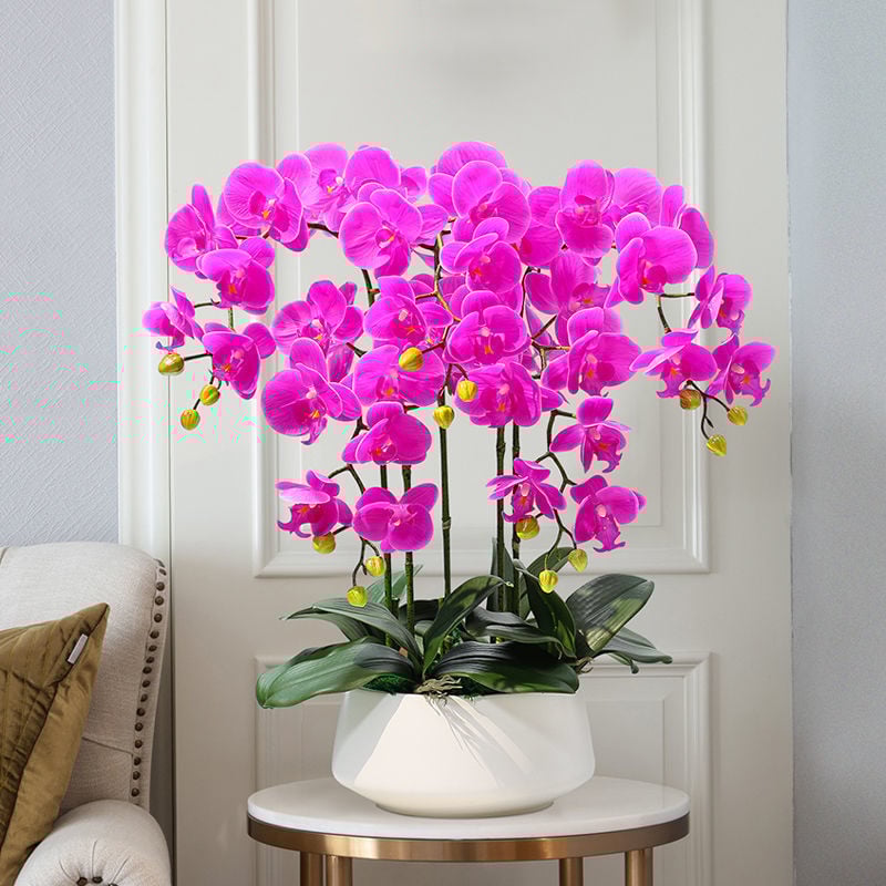 Dirbtinė Phalaenopsis orchidėja – šilko gėlė, Prekės ženklas Bear Zhizhe, veislė Phalaenopsis, Amatai: Kita