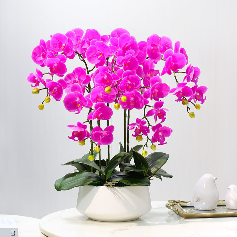 Dirbtinė Phalaenopsis orchidėja – šilko gėlė, Prekės ženklas Bear Zhizhe, veislė Phalaenopsis, Amatai: Kita