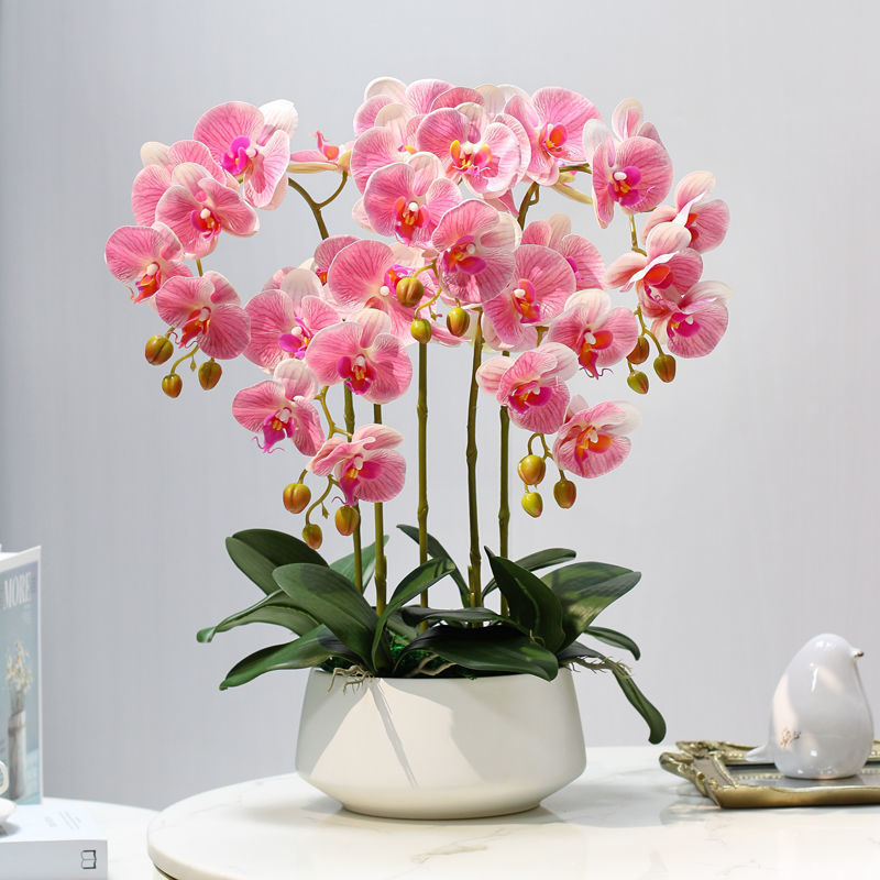 Dirbtinė Phalaenopsis orchidėja – šilko gėlė, Prekės ženklas Bear Zhizhe, veislė Phalaenopsis, Amatai: Kita