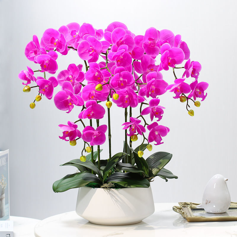 Dirbtinė Phalaenopsis orchidėja – šilko gėlė, Prekės ženklas Bear Zhizhe, veislė Phalaenopsis, Amatai: Kita