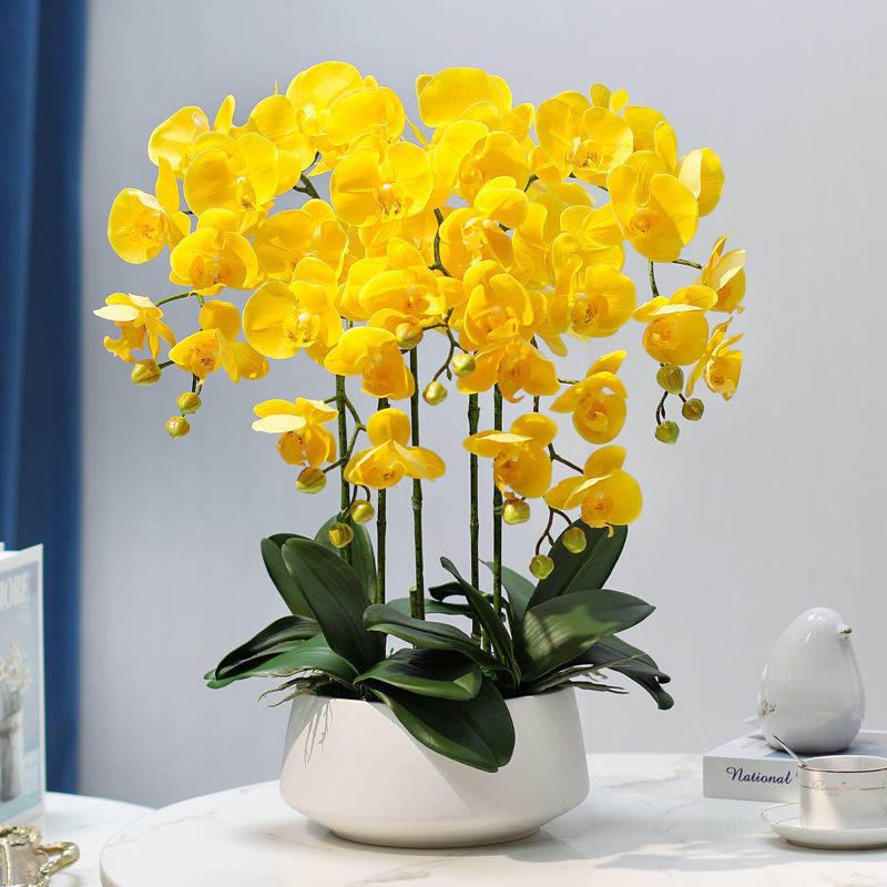 Dirbtinė Phalaenopsis orchidėja – šilko gėlė, Prekės ženklas Bear Zhizhe, veislė Phalaenopsis, Amatai: Kita
