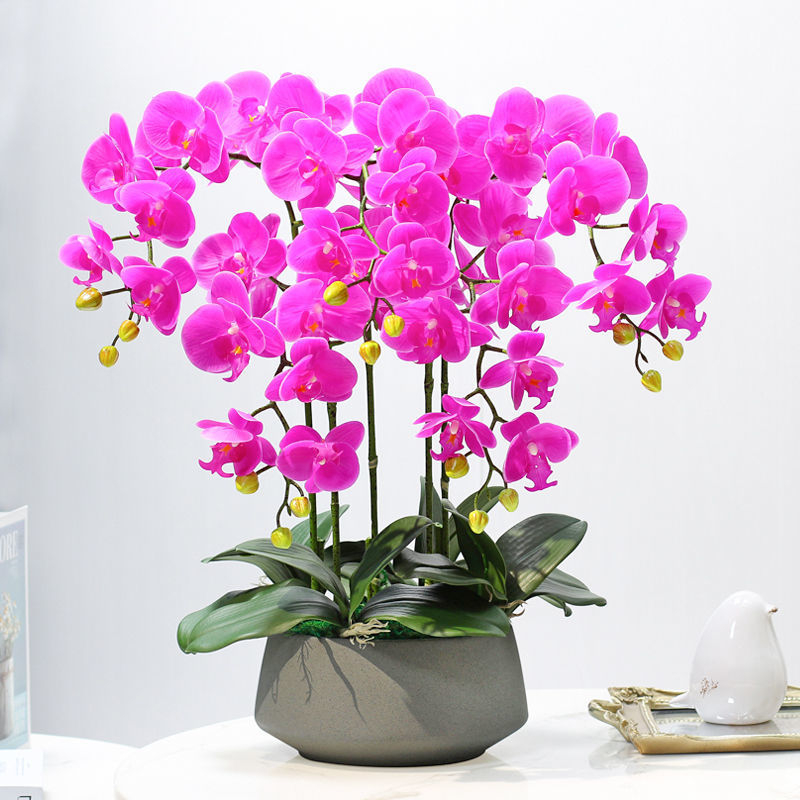 Dirbtinė Phalaenopsis orchidėja – šilko gėlė, Prekės ženklas Bear Zhizhe, veislė Phalaenopsis, Amatai: Kita