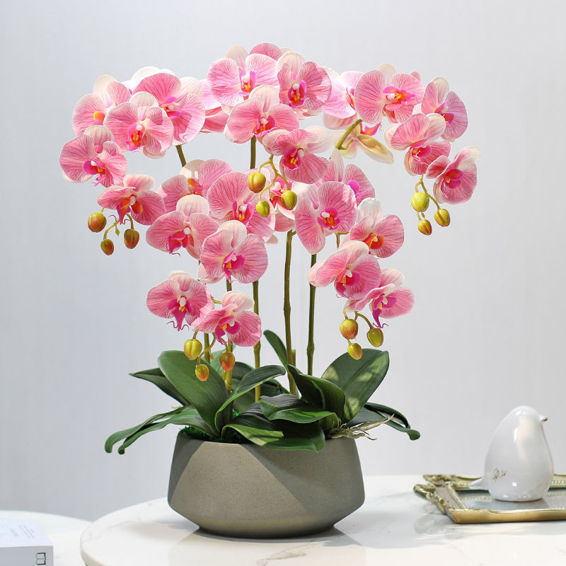 Dirbtinė Phalaenopsis orchidėja – šilko gėlė, Prekės ženklas Bear Zhizhe, veislė Phalaenopsis, Amatai: Kita