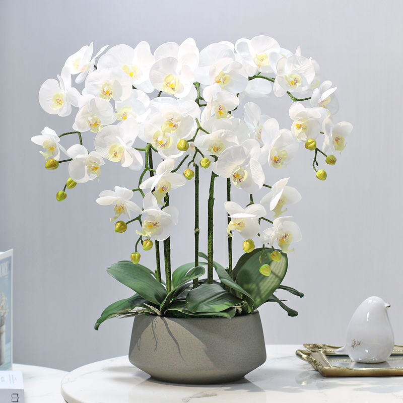 Dirbtinė Phalaenopsis orchidėja – šilko gėlė, Prekės ženklas Bear Zhizhe, veislė Phalaenopsis, Amatai: Kita