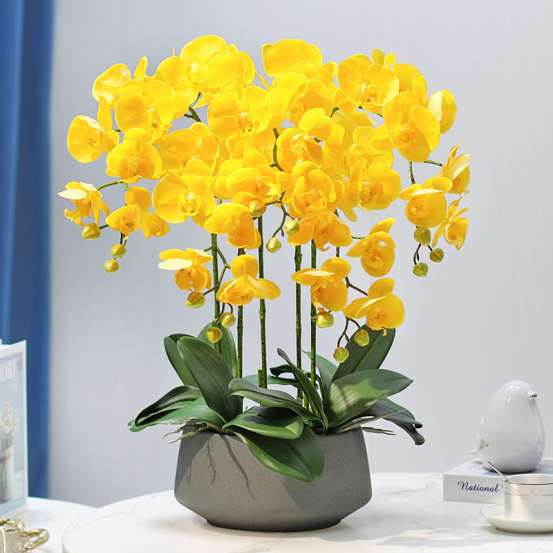 Dirbtinė Phalaenopsis orchidėja – šilko gėlė, Prekės ženklas Bear Zhizhe, veislė Phalaenopsis, Amatai: Kita