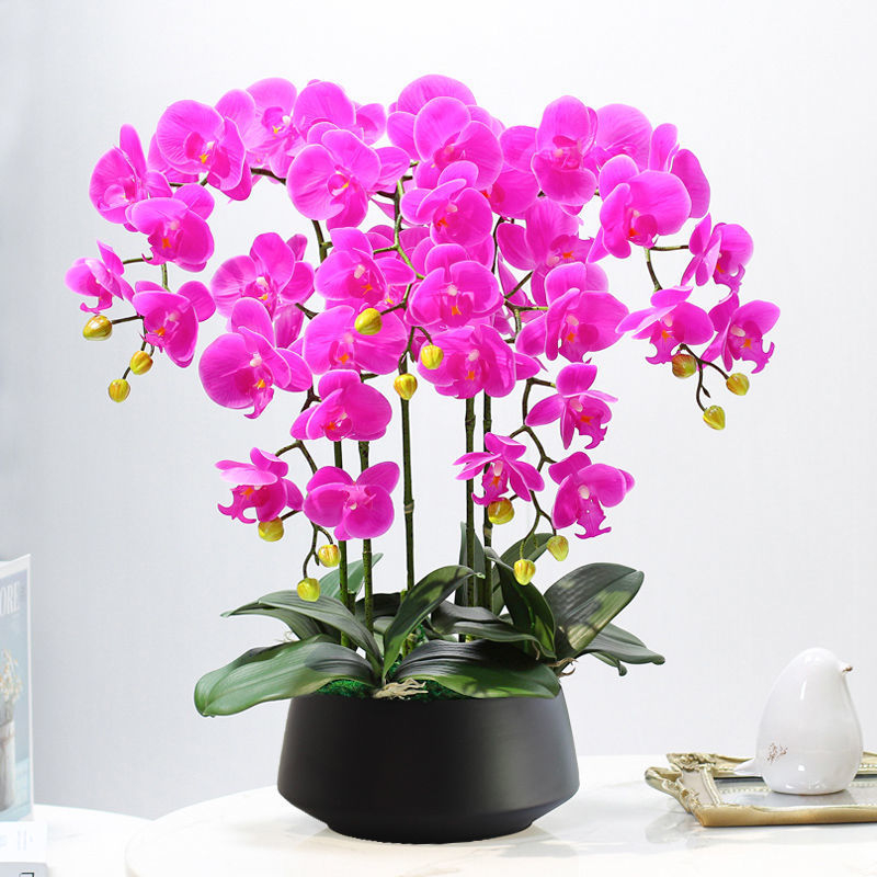 Dirbtinė Phalaenopsis orchidėja – šilko gėlė, Prekės ženklas Bear Zhizhe, veislė Phalaenopsis, Amatai: Kita