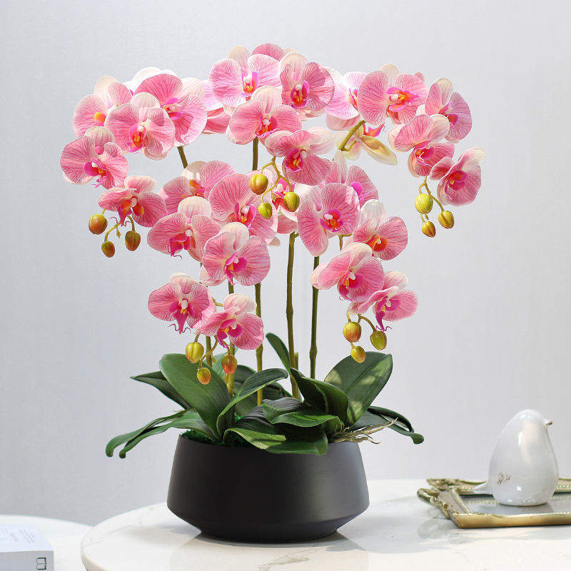 Dirbtinė Phalaenopsis orchidėja – šilko gėlė, Prekės ženklas Bear Zhizhe, veislė Phalaenopsis, Amatai: Kita