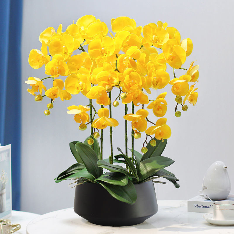 Dirbtinė Phalaenopsis orchidėja – šilko gėlė, Prekės ženklas Bear Zhizhe, veislė Phalaenopsis, Amatai: Kita
