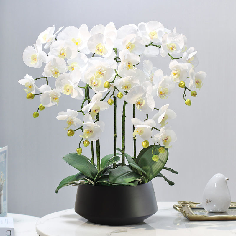 Dirbtinė Phalaenopsis orchidėja – šilko gėlė, Prekės ženklas Bear Zhizhe, veislė Phalaenopsis, Amatai: Kita