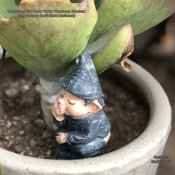 Sodo skulptūra iš sintetinių dervų, Europos stilius, iškalta ir poliruota, YY0206