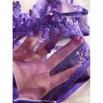 Σετ εσωρούχων δύο τεμαχίων σε γαλλικό στυλ, διαφανές με κεντημένη δαντέλα, πολυεστέρας