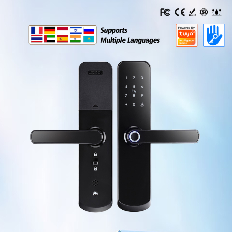 HF09 Viedais durvju slēdzis ar pirkstu nospiedumu, kartes lasītāju, elektronisko paroli un tālvadību (Hyxiniot/haoyuxing)