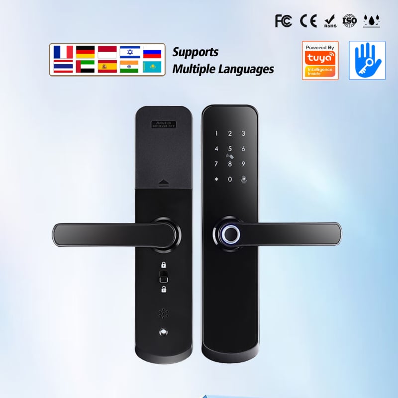 HF09 Viedais durvju slēdzis ar pirkstu nospiedumu, kartes lasītāju, elektronisko paroli un tālvadību (Hyxiniot/haoyuxing)