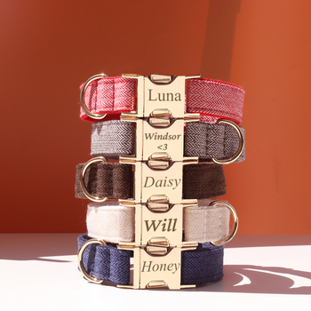 Šunų antkaklis su kaspinu, reguliuojamas dirželis, išgraviruojamas, švelnus kaklui, metalinė sagtis nuo praradimo