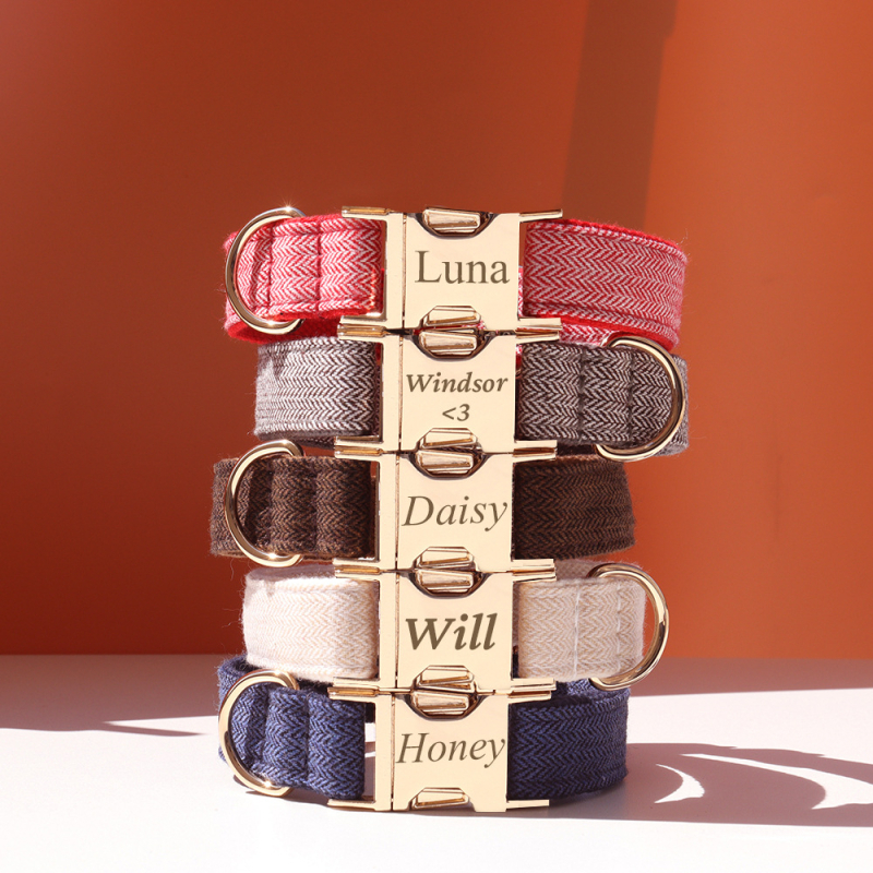 Šunų antkaklis su kaspinu, reguliuojamas dirželis, išgraviruojamas, švelnus kaklui, metalinė sagtis nuo praradimo