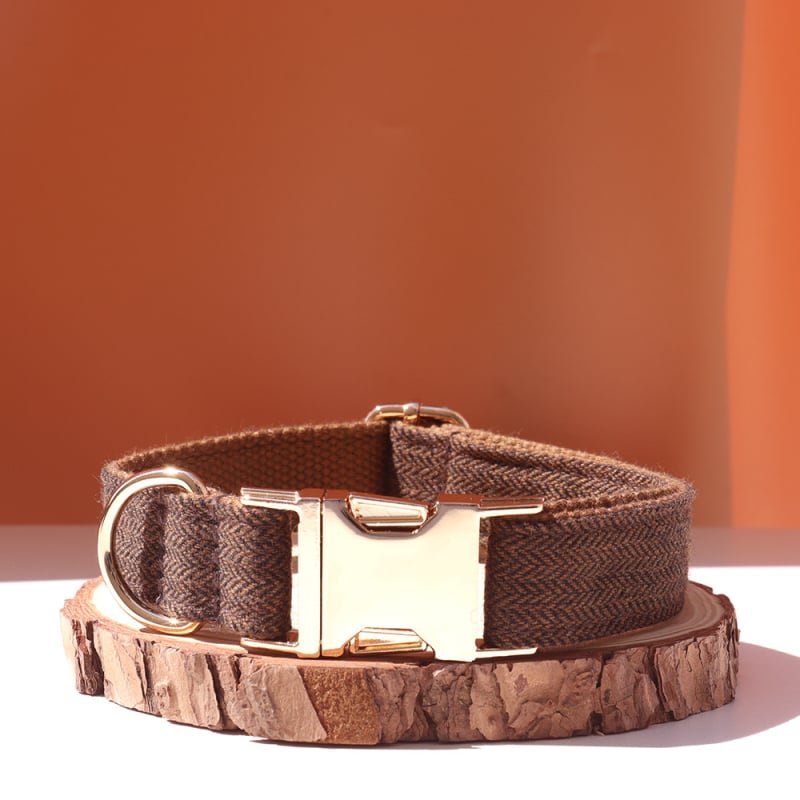 Šunų antkaklis su kaspinu, reguliuojamas dirželis, išgraviruojamas, švelnus kaklui, metalinė sagtis nuo praradimo