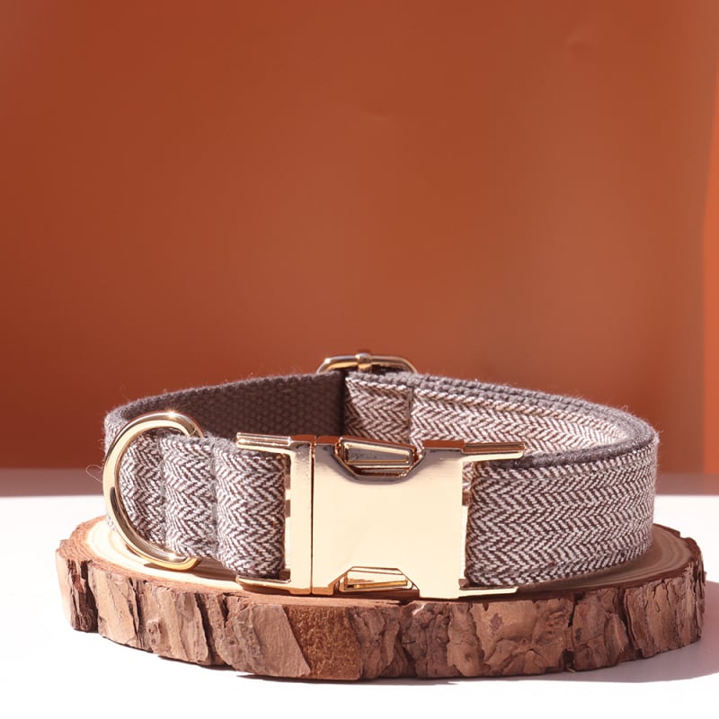 Šunų antkaklis su kaspinu, reguliuojamas dirželis, išgraviruojamas, švelnus kaklui, metalinė sagtis nuo praradimo