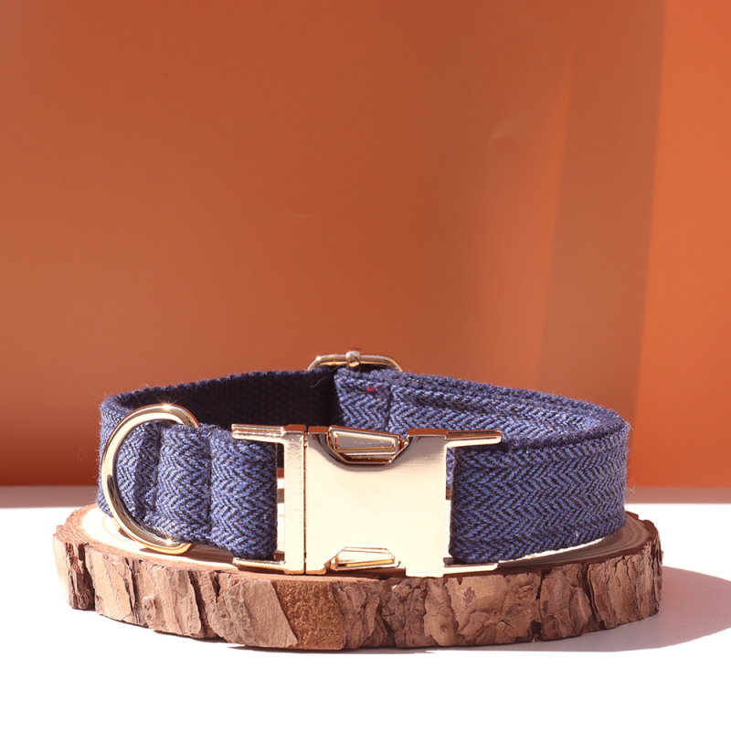 Šunų antkaklis su kaspinu, reguliuojamas dirželis, išgraviruojamas, švelnus kaklui, metalinė sagtis nuo praradimo