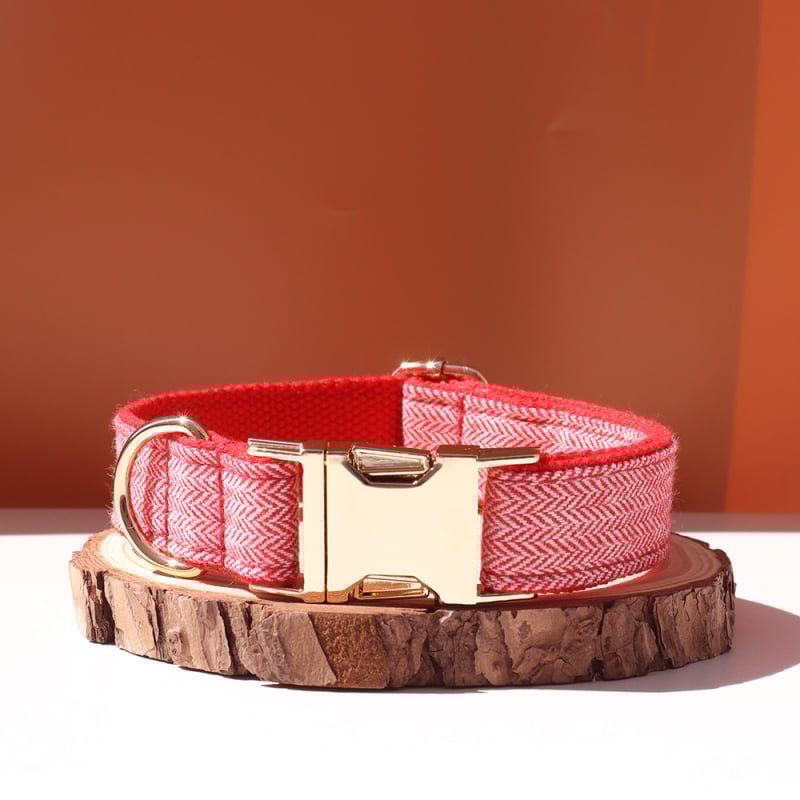 Šunų antkaklis su kaspinu, reguliuojamas dirželis, išgraviruojamas, švelnus kaklui, metalinė sagtis nuo praradimo