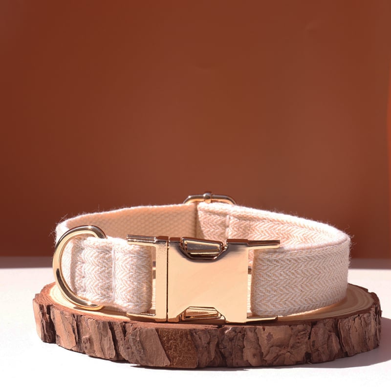 Šunų antkaklis su kaspinu, reguliuojamas dirželis, išgraviruojamas, švelnus kaklui, metalinė sagtis nuo praradimo