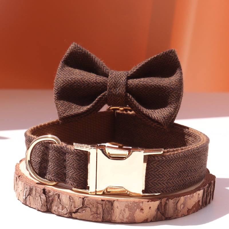 Šunų antkaklis su kaspinu, reguliuojamas dirželis, išgraviruojamas, švelnus kaklui, metalinė sagtis nuo praradimo