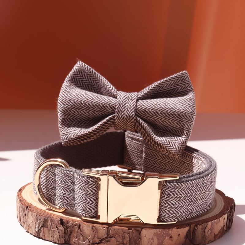 Šunų antkaklis su kaspinu, reguliuojamas dirželis, išgraviruojamas, švelnus kaklui, metalinė sagtis nuo praradimo