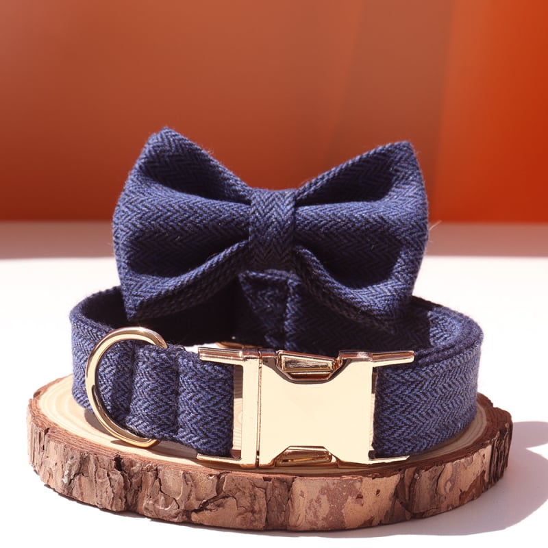 Šunų antkaklis su kaspinu, reguliuojamas dirželis, išgraviruojamas, švelnus kaklui, metalinė sagtis nuo praradimo