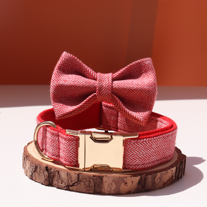 Šunų antkaklis su kaspinu, reguliuojamas dirželis, išgraviruojamas, švelnus kaklui, metalinė sagtis nuo praradimo