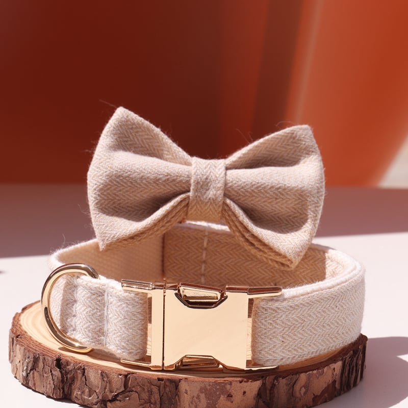 Šunų antkaklis su kaspinu, reguliuojamas dirželis, išgraviruojamas, švelnus kaklui, metalinė sagtis nuo praradimo