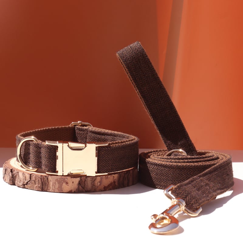 Šunų antkaklis su kaspinu, reguliuojamas dirželis, išgraviruojamas, švelnus kaklui, metalinė sagtis nuo praradimo