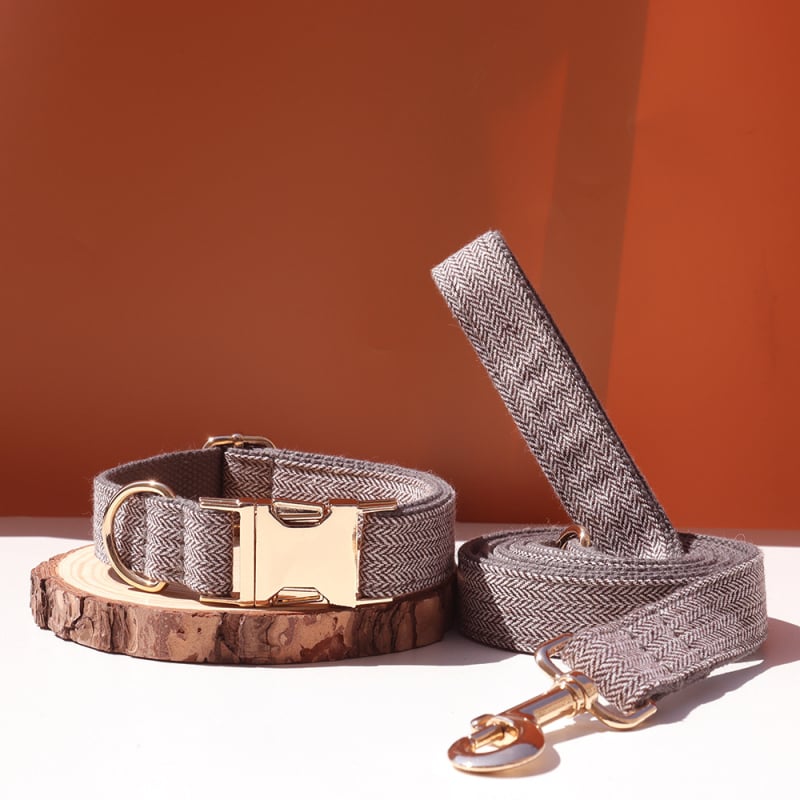 Šunų antkaklis su kaspinu, reguliuojamas dirželis, išgraviruojamas, švelnus kaklui, metalinė sagtis nuo praradimo