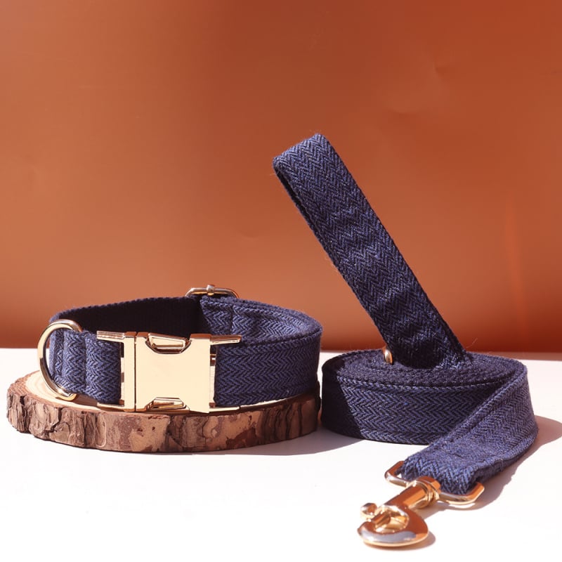 Šunų antkaklis su kaspinu, reguliuojamas dirželis, išgraviruojamas, švelnus kaklui, metalinė sagtis nuo praradimo