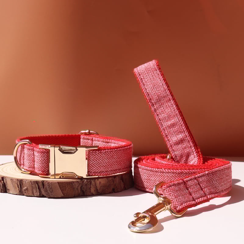 Šunų antkaklis su kaspinu, reguliuojamas dirželis, išgraviruojamas, švelnus kaklui, metalinė sagtis nuo praradimo