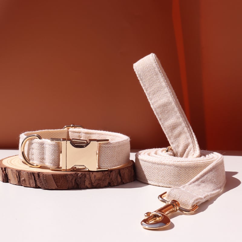 Šunų antkaklis su kaspinu, reguliuojamas dirželis, išgraviruojamas, švelnus kaklui, metalinė sagtis nuo praradimo