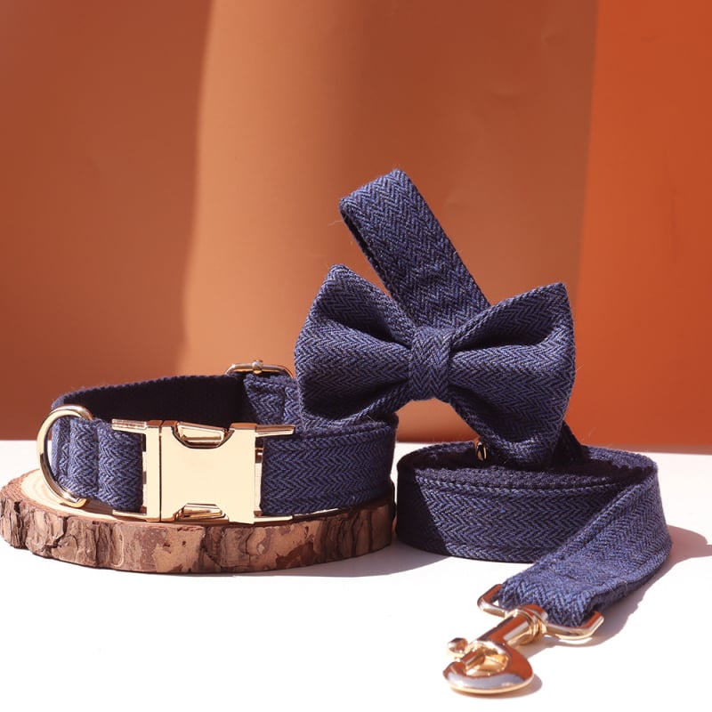 Šunų antkaklis su kaspinu, reguliuojamas dirželis, išgraviruojamas, švelnus kaklui, metalinė sagtis nuo praradimo